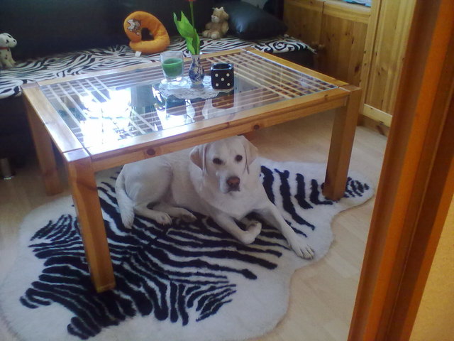 Das Baby