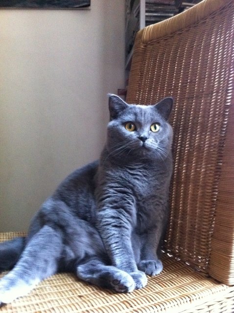 Unsere Penny