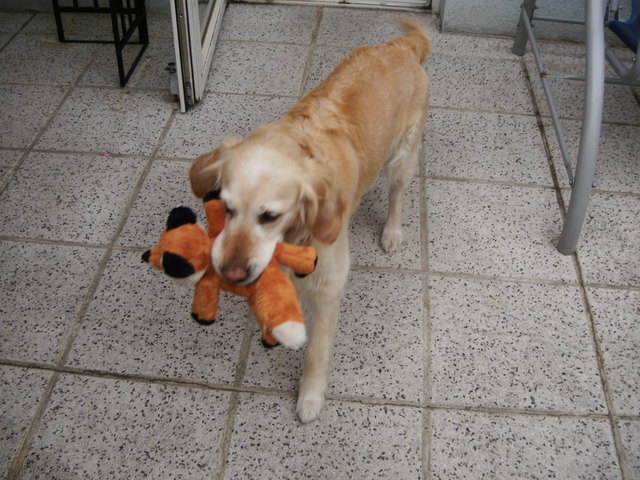 Kira mit Puppi