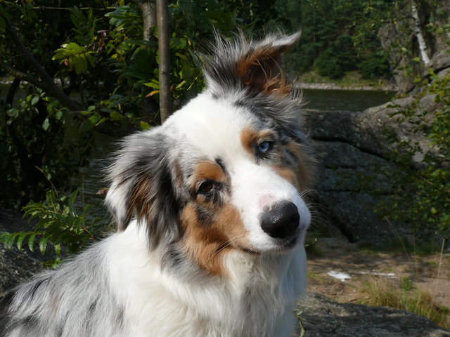 Dara unser Herzblatt.
