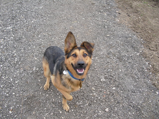 Wicket Boineburg-Lengsfeld