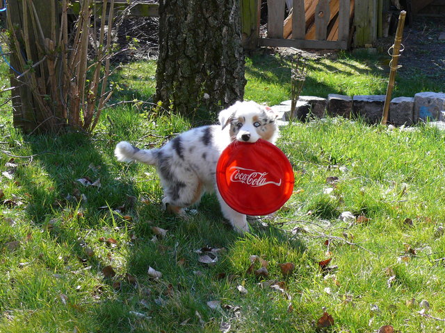 Dara mit ihrem Lieblingsspielzeug.