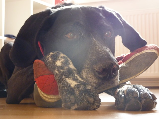 Duffy