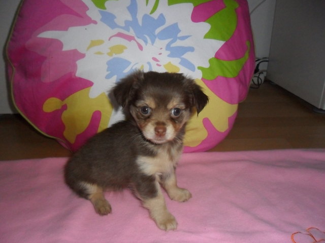 Saby unsere Herzensbrecherin :)