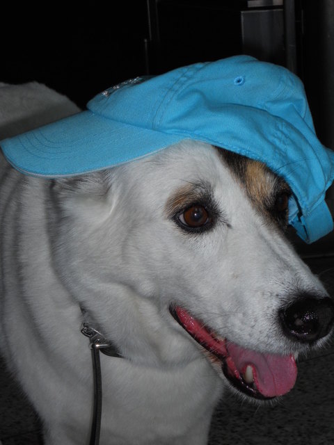 Einmal so cool wie 'Snoop Doggy Dog' wollte auch unser "PROSHA" sein!