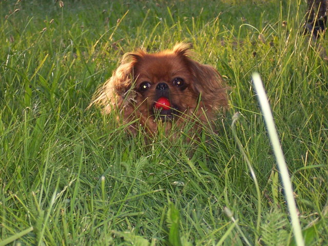 Tina im Garten