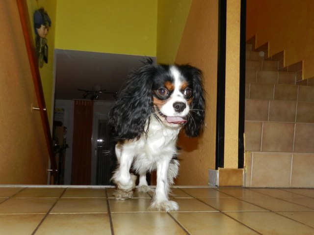 ... wirfst mir´s nochmal ???