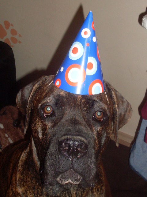 Vickerl's Geburtstagsparty