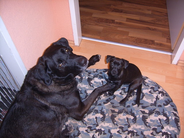 Nero und Luna