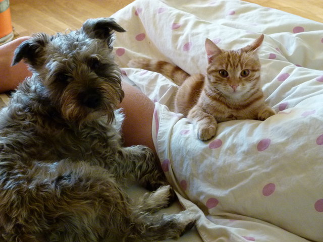 "luna und charly"