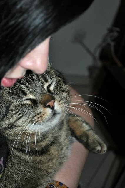 Meine Katze Bagihra beim schlafen in meinem Arm.