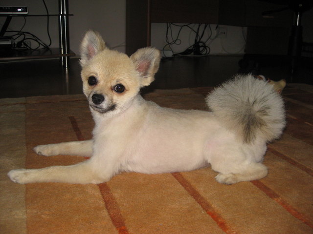marco