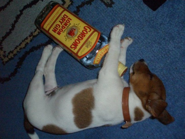 ich trinke ja so gerne;-)