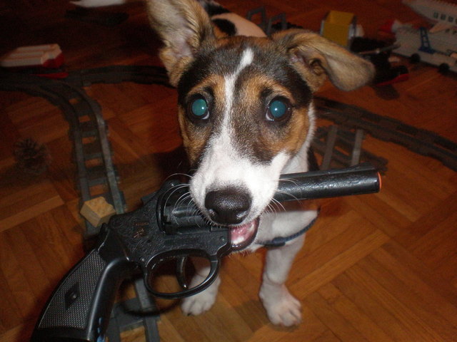 Gangster "Sunday"