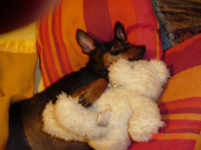 Mein Name ist Sheela und ich bin eine Tussi