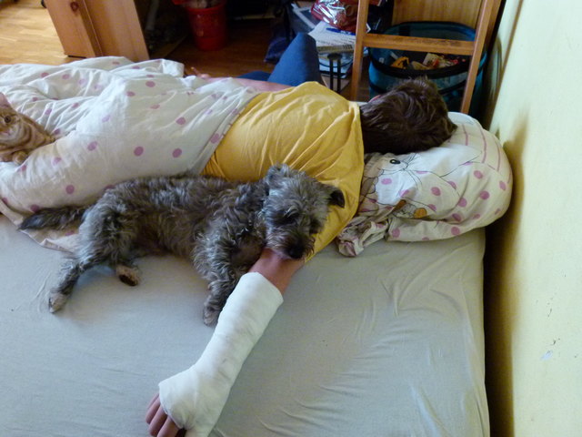 der Liebling des Enkels meiner Schwester "charly"