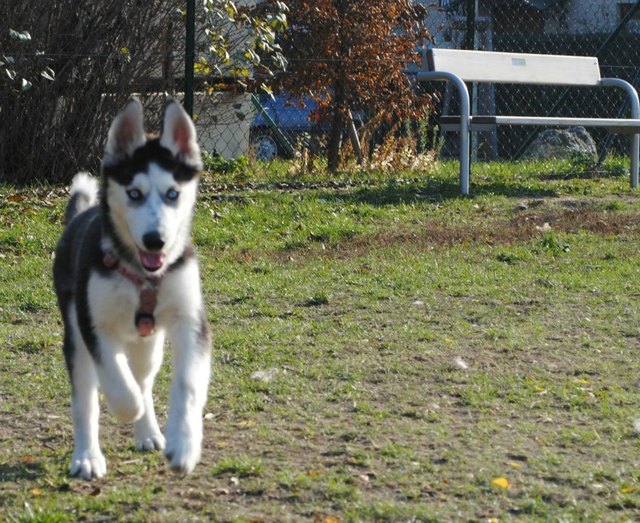 mein Liebling :-*