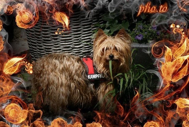 vonblon martha