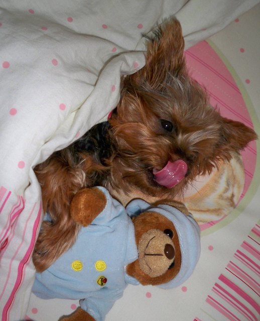 Jessy ^^