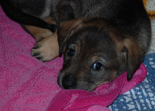 Luna macht mal Pause :)