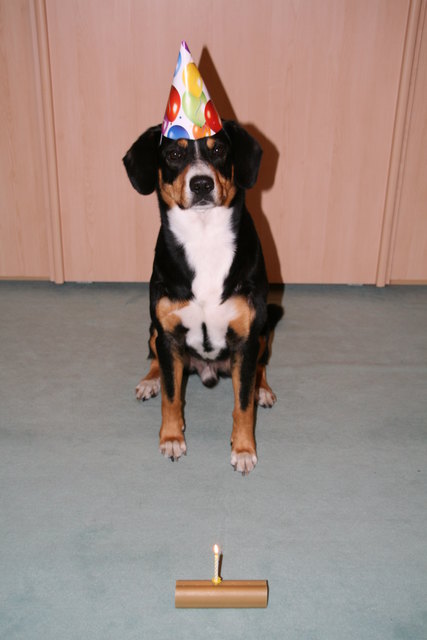 Rico hat Geburtstag