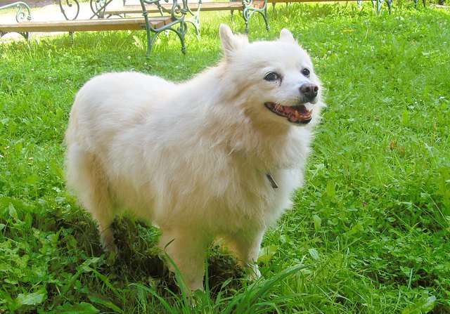 Unsere Jeanny