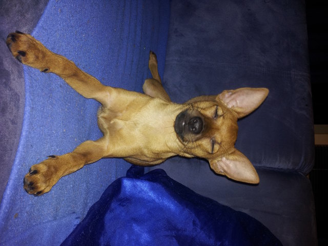 UPPS UNSERE KLEINE JESSY GLAUBT SIE IST EINE SPITZMAUS