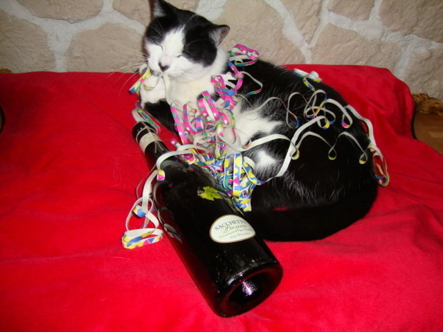 Schroti in Partylaune :-)
