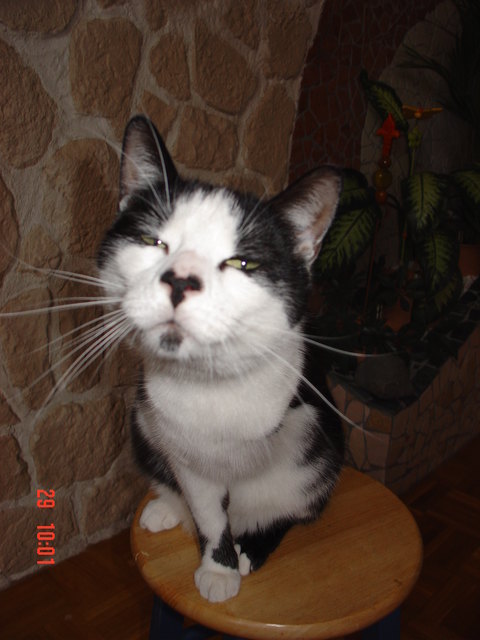 Was guckst DU ?