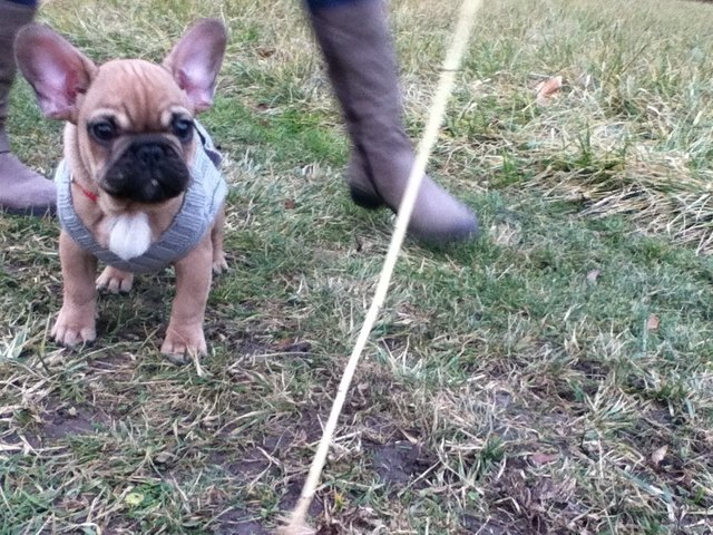 Gomez :)