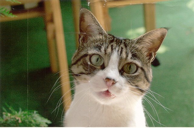 Was ist da los?