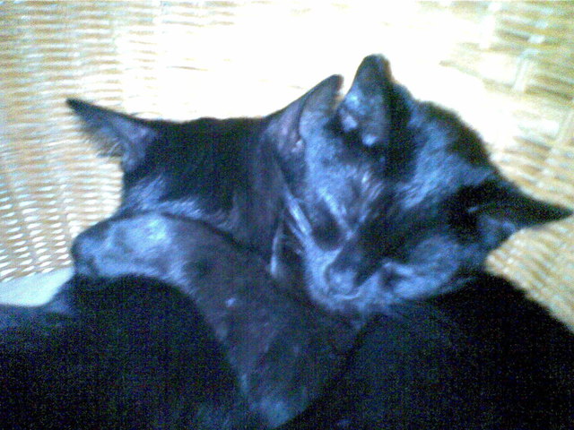 Moritz u. Cara