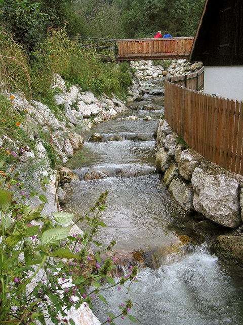 Hier fühlen sich die Fische wohl: Fischaufstieg bei der Katzensteinermühle an der Gaflenz in der Marktgemeinde Weyer. Foto: Privat