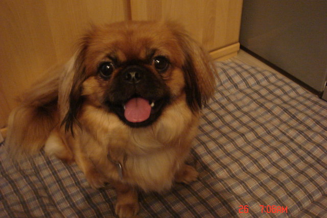 Ich bin die Schönste im Park !!!