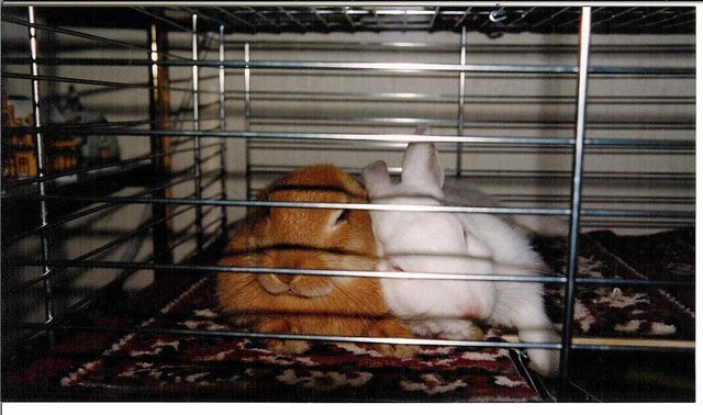 Stubsi und Bianca