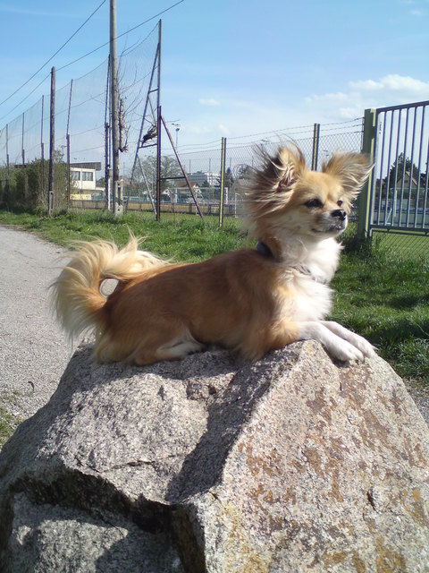Winnie