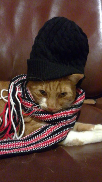 Der Winter kann kommen....