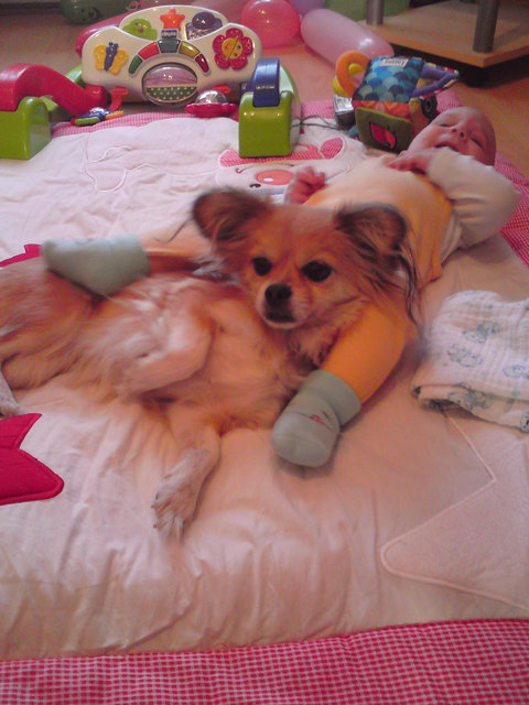 Winnie unser Kuscheltier