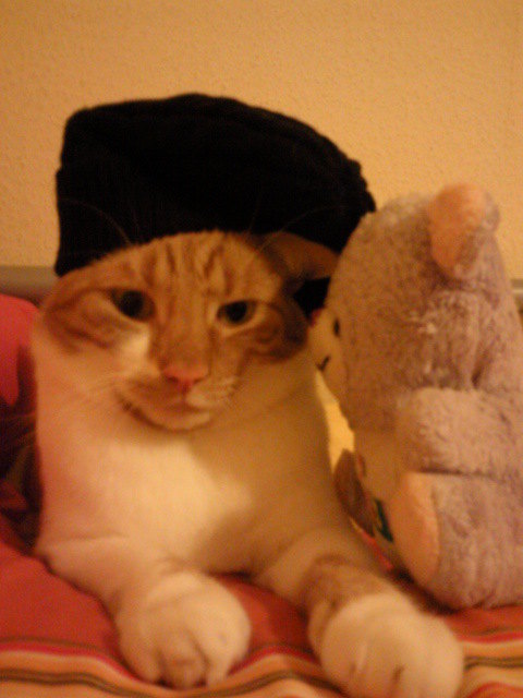 Pierre und sein bester Freund