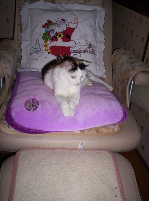 Unser Prinzeßchen auf ihrem Lieblingsplatz