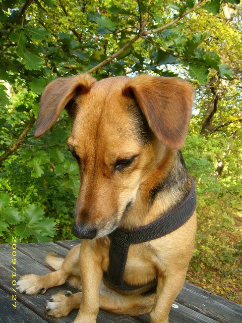 Ich muss nachdenken.