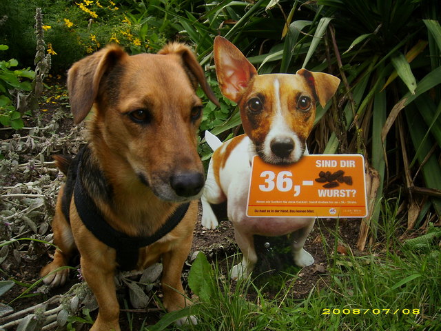 Nimm ein Sackerl ..........