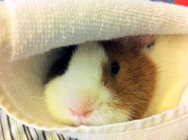 Unser süßer Teddy!!!