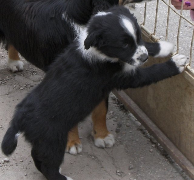 Ich will hier RAUS !