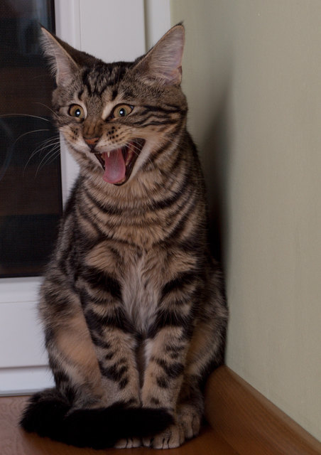 Sauerstoffmangel oder doch müde