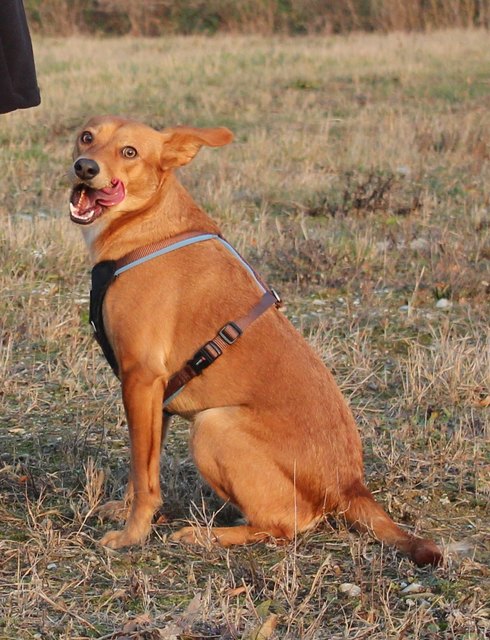 MMM war das Leckerli gut