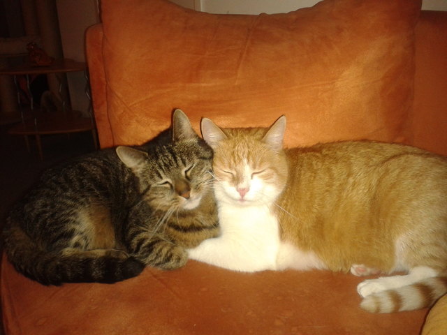 So süß ... wenn sie schlafen ...