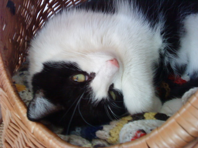 Ist das aber gemütlich....