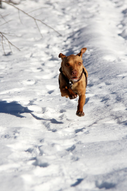 Ich kann fliegen !!!!