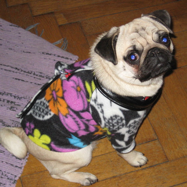 Flowerpowersweetlola